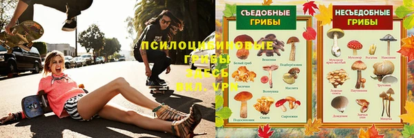 экстази Богданович