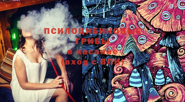 трава Бородино