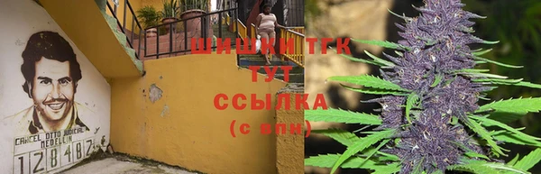 трава Бородино