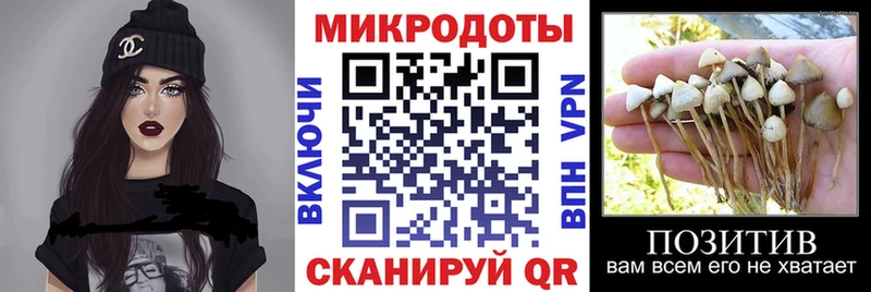 Галлюциногенные грибы прущие грибы  как найти   Горячий Ключ 