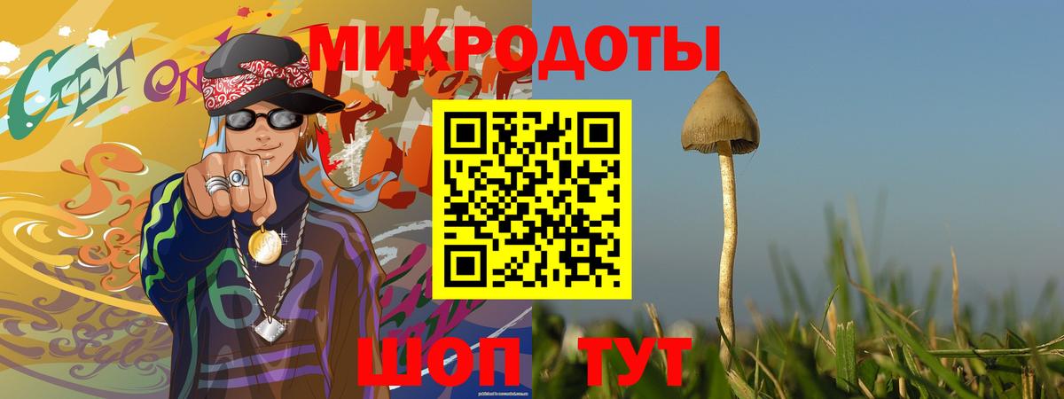Галлюциногенные грибы прущие грибы Горячий Ключ